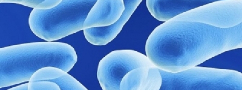 Sistemas de vigilância e de...