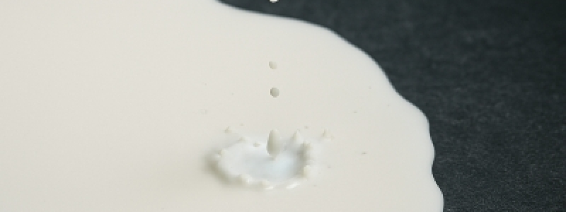 Produção de leite continua a subir e...