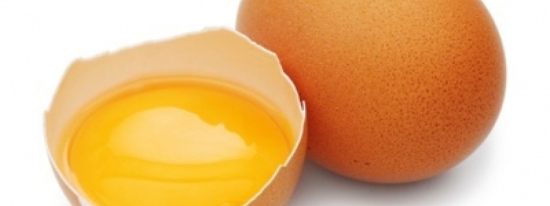 Dos ovos ao frango, como vai a gripe...