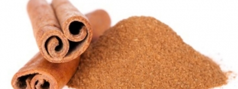 Estudo da UE sobre canela revela...